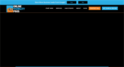 Desktop Screenshot of onlinevisibilitypros.com